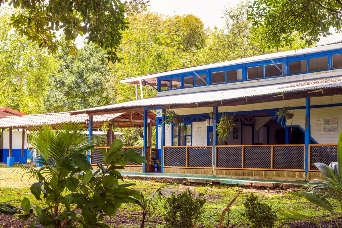 Colonial blue facade of the farmhouse seen from the trees