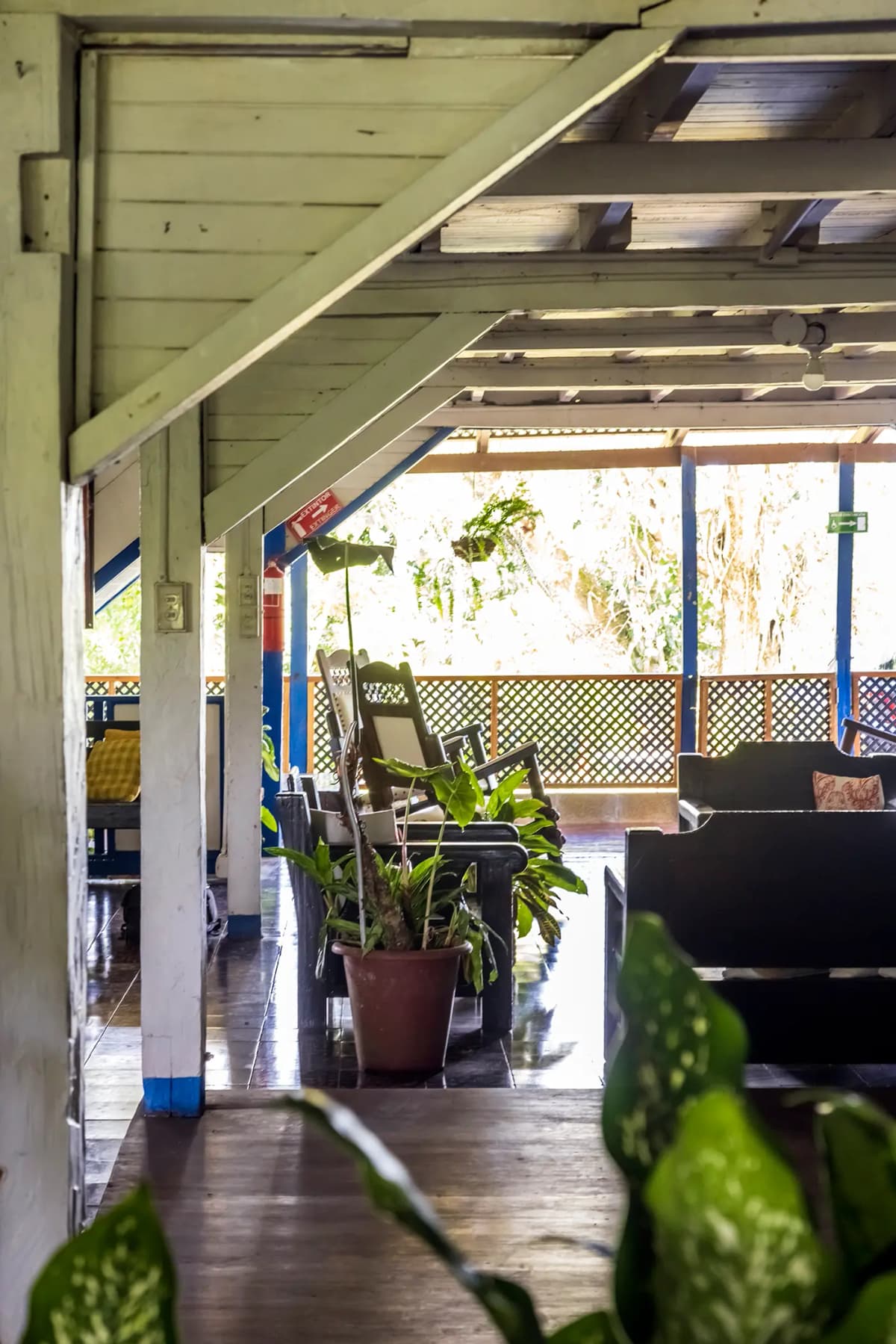 Brightly lit interior hallway with white wooden beams and ornamental plants
